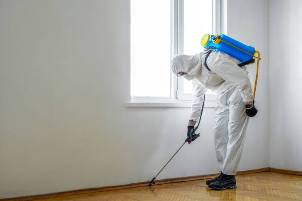 Best Local Pest Control Services  in Fredonia, KS