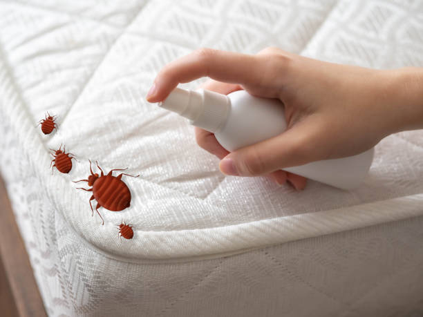 Best Affordable Pest Control Services  in Fredonia, KS