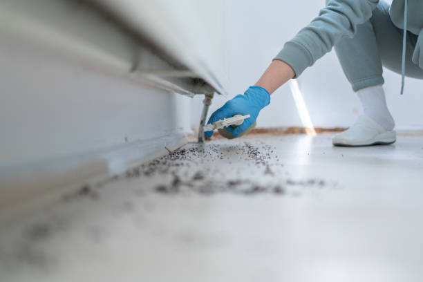 Best Termite Control Services  in Fredonia, KS